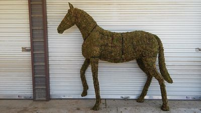 Mossed Horse