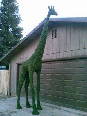 Giraffe Topiary Form